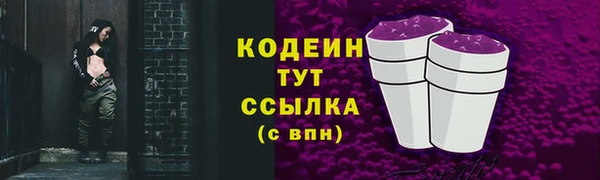 молекула духа Нязепетровск